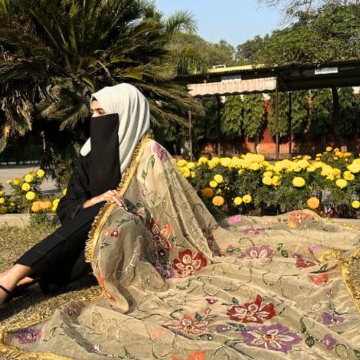 hand paint organza dupatta 09 (copy)