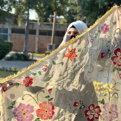 hand paint organza dupatta 09 (copy)