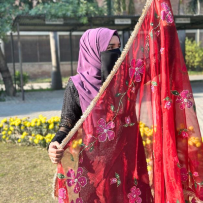 hand paint organza dupatta 09 (copy)