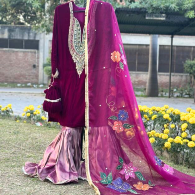 hand paint organza dupatta 11 (copy)