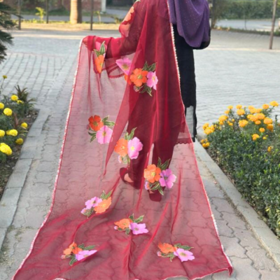 hand paint organza dupatta 13