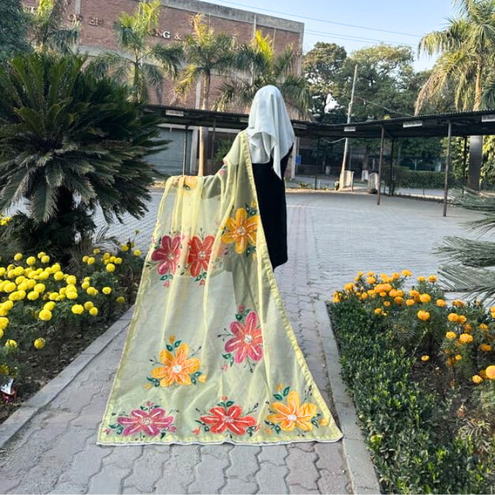 Home hand paint organza dupatta 13