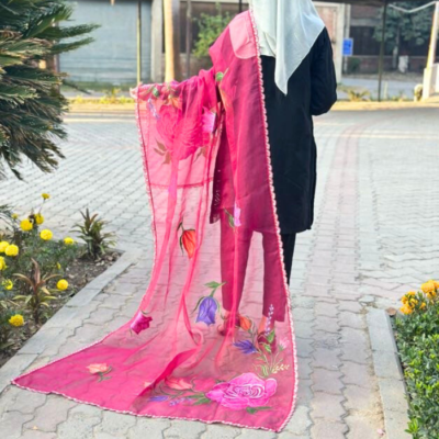 hand paint organza dupatta 13