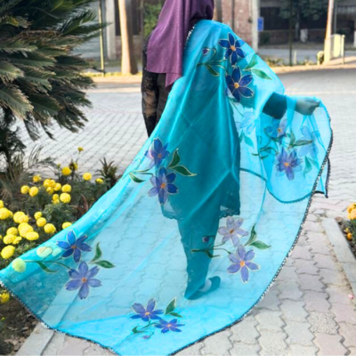 hand paint organza dupatta 13