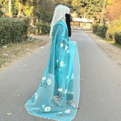 hand paint organza dupatta 13