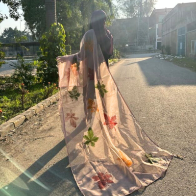 hand paint organza dupatta 13