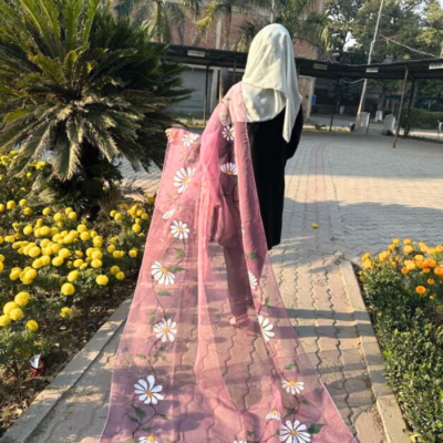 hand paint organza dupatta 13