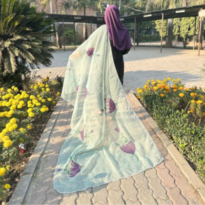 hand paint organza dupatta 13