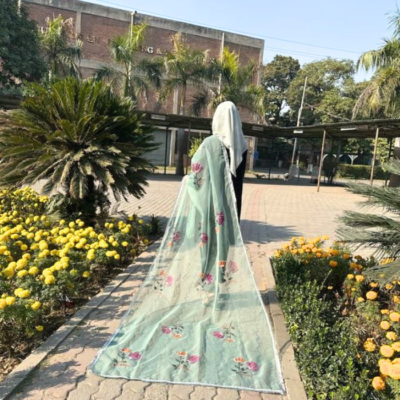 hand paint organza dupatta 13