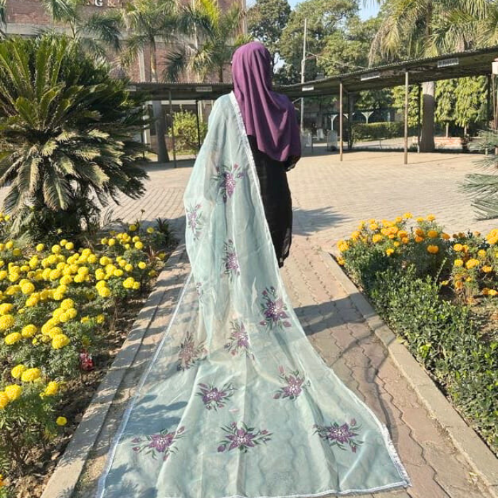 Home hand paint organza dupatta 13