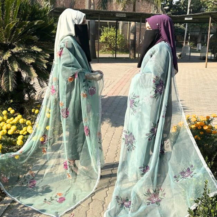 hand paint organza dupatta 13