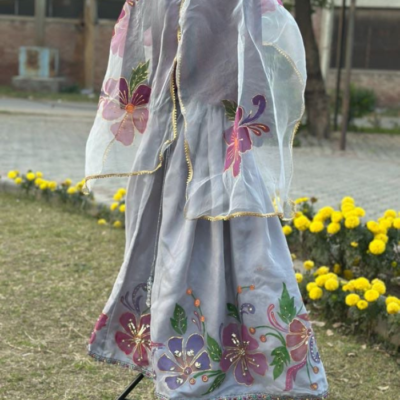 hand paint organza dupatta 13