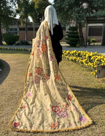 Home hand paint organza dupatta 09 (copy)