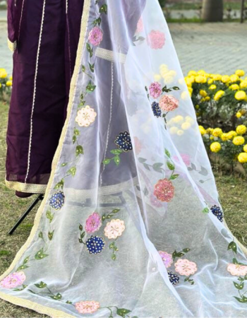 Home hand paint organza dupatta 13